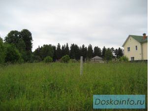 Продам участок, ленинградское шоссе 36 км от Мкад, д. Белавино