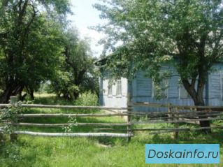 Домик в деревне на юге брянской области