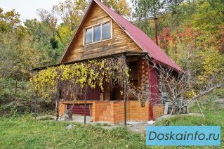 Домовладение: дом-сруб, баня-сруб, на участке 30 соток в с. Ольгинка