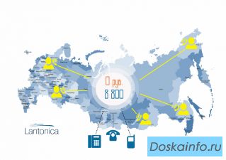 Номер 8800 бесплатно