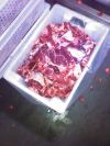 Уменьшенная картинка