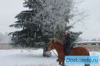 Прогулки на лошадях, в фаэтоне, катание на лошадях