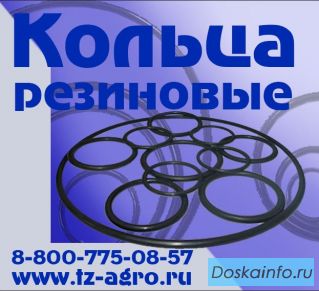  Уплотнительное кольцо 