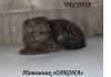 Уменьшенная картинка