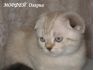 Уменьшенная картинка