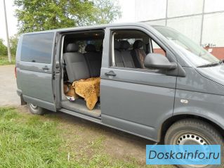 Перевозки на микроавтобусе Киров - Архангельск