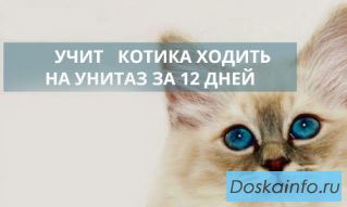 Чудо лоток для кошки!