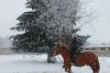 Уменьшенная картинка