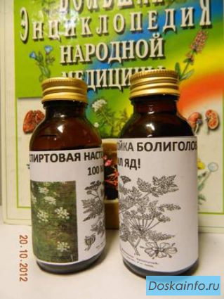 Лечение рака болиголовом высокой концентрации