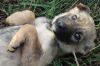 Уменьшенная картинка
