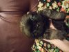 Уменьшенная картинка