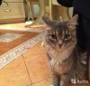 Уменьшенная картинка