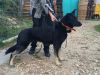 Уменьшенная картинка