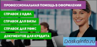 Профессиональная помощь в получении документов