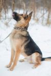 Уменьшенная картинка