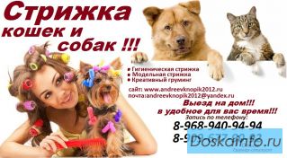 Стрижка кошек и собак (животных)выезд на дом