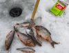 Уменьшенная картинка