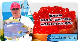 Трафик Наш Хлеб