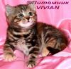 Уменьшенная картинка