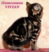 Уменьшенная картинка