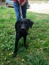 Уменьшенная картинка