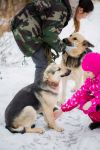 Уменьшенная картинка