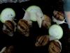 Уменьшенная картинка