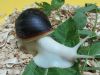 Уменьшенная картинка