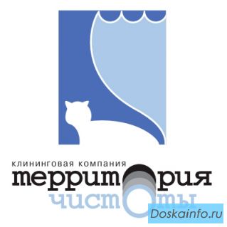 Профессиональная выездная чистка мягкой мебели