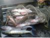 Уменьшенная картинка