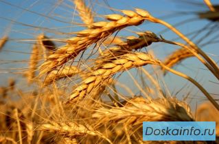 Продам землю 2.2 Га Зыково. Документы готовы! Звоните!