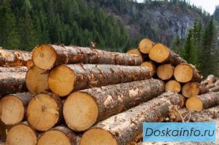 Продается прибыльный биснес в сфере лесозаготовки
