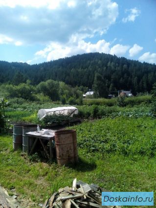 Продам дачу в Белокурихе