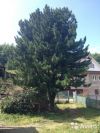 Уменьшенная картинка