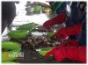 Уменьшенная картинка