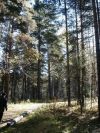 Уменьшенная картинка