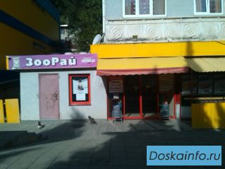 Продам магазин в Ялте  20 кв.м