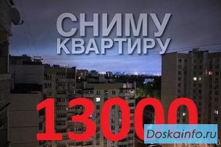 Сниму квартиру