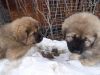 Уменьшенная картинка