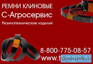 Ремень клиновой 1250