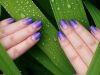 Маникюр аппаратный, педикюр, shellac в СПБ