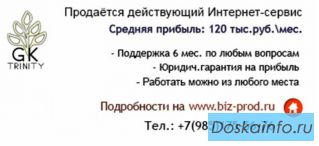 Продаётся действующий Интернет-сервис с прибылью 120 тыс.руб.