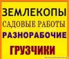 Уменьшенная картинка