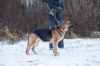 Уменьшенная картинка
