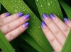 Маникюр аппаратный      , педикюр      , shellac в СПБ