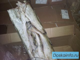 Треска, скумбрия, пикша, сельдь. Всегда в наличии