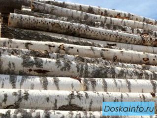 Продам пиловочник, фанкряж из березы,сосны и осины
