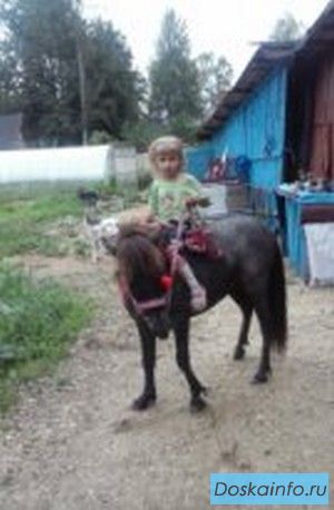 Катаю на пони