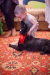 Уменьшенная картинка