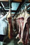 Уменьшенная картинка